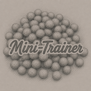 Mini-Trainer