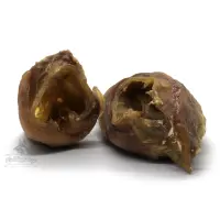 Rinder-Ohrmuscheln