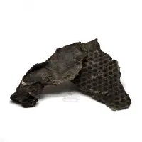 Rindfleisch-Filet