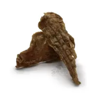 Puten-Brustfilet