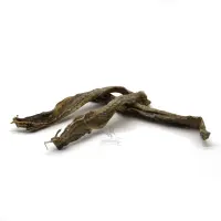 Fisch - Bombay Duck