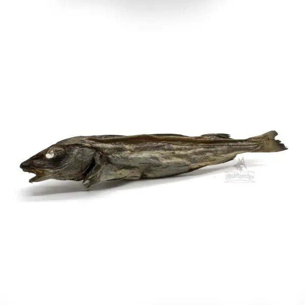 Fisch - Ganzer Wittling