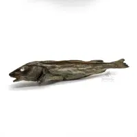 Fisch - Ganzer Wittling