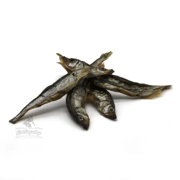 Fisch - Lodde