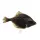 Fisch - Schollenfilet