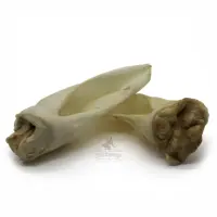 Ziegenohren