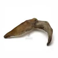 Kalbsschulterknorpel