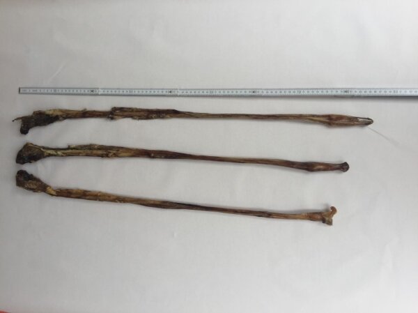 Kalbsziemer m. Fleisch, ca. 80-90 cm